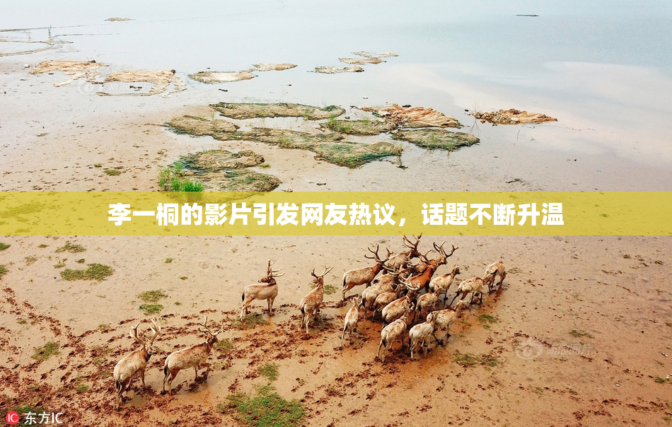 李一桐的影片引发网友热议，话题不断升温