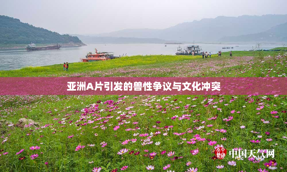 亚洲A片引发的兽性争议与文化冲突