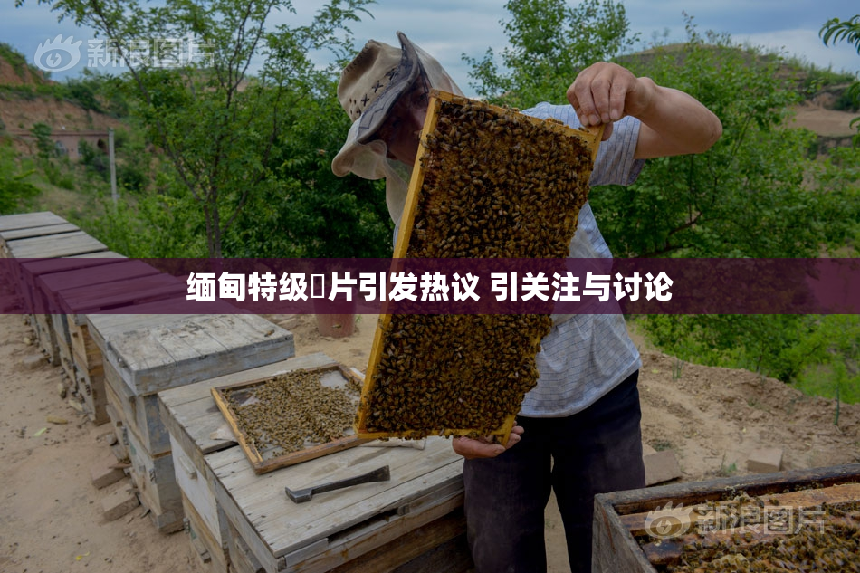 缅甸特级婬片引发热议 引关注与讨论