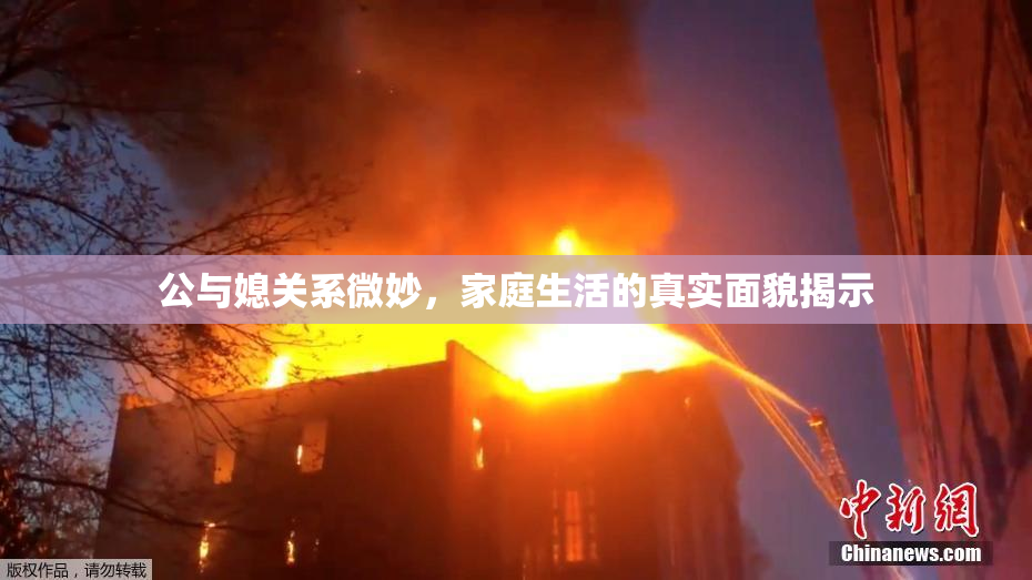公与媳关系微妙，家庭生活的真实面貌揭示