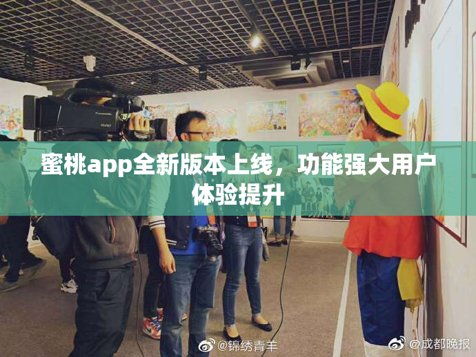 蜜桃app全新版本上线，功能强大用户体验提升