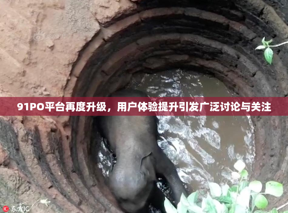 91PO平台再度升级，用户体验提升引发广泛讨论与关注