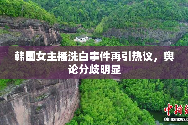 韩国女主播洗白事件再引热议，舆论分歧明显