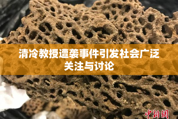 清冷教授遭袭事件引发社会广泛关注与讨论