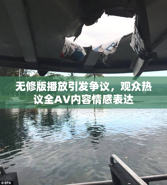 无修版播放引发争议，观众热议全AV内容情感表达