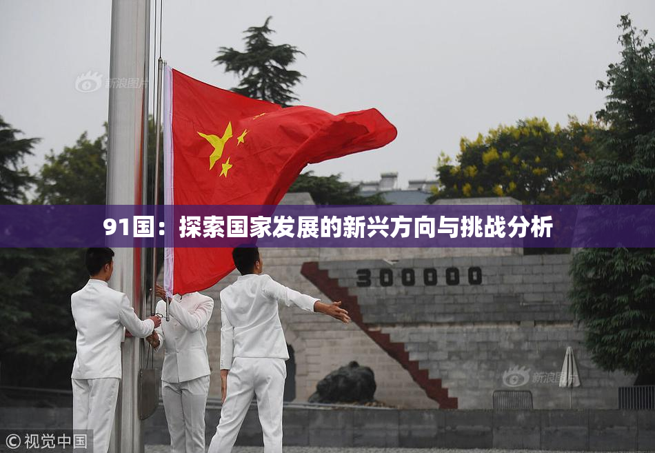 91国：探索国家发展的新兴方向与挑战分析