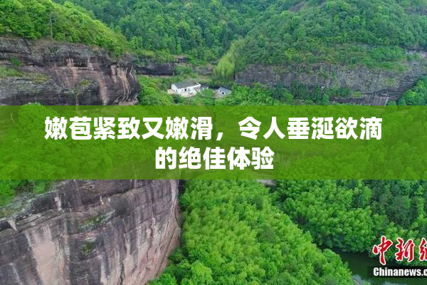 嫩苞紧致又嫩滑，令人垂涎欲滴的绝佳体验