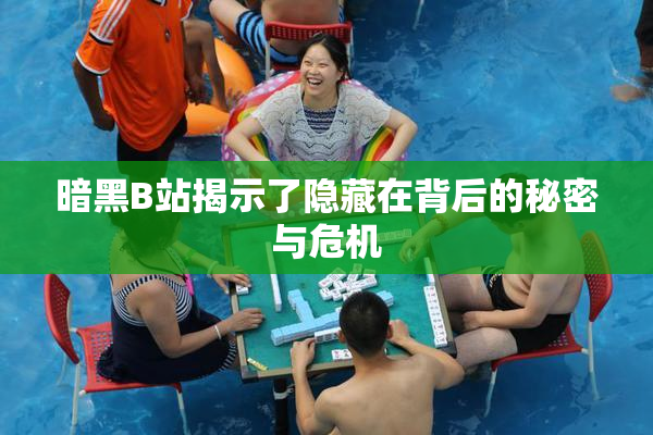 暗黑B站揭示了隐藏在背后的秘密与危机