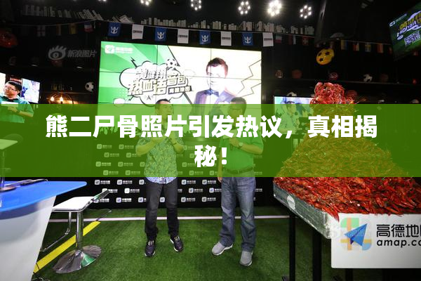 熊二尸骨照片引发热议，真相揭秘！