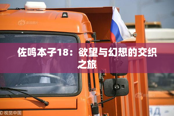 佐鸣本子18：欲望与幻想的交织之旅