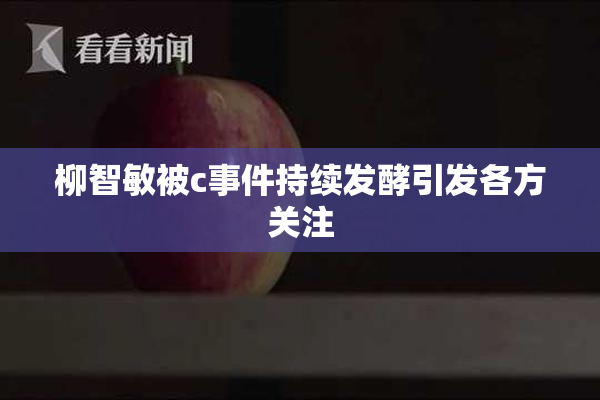 柳智敏被c事件持续发酵引发各方关注