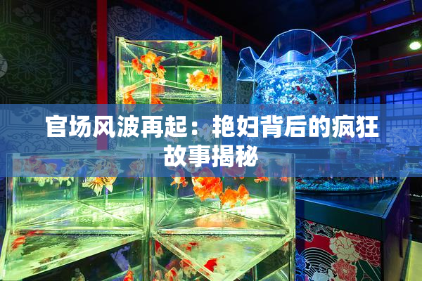 官场风波再起：艳妇背后的疯狂故事揭秘