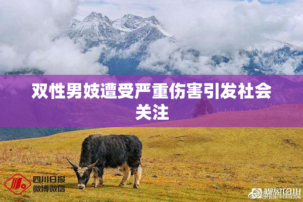 双性男妓遭受严重伤害引发社会关注