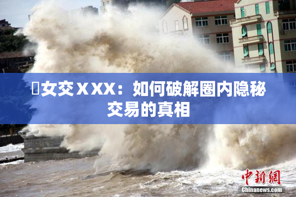乣女交ⅩXX：如何破解圈内隐秘交易的真相