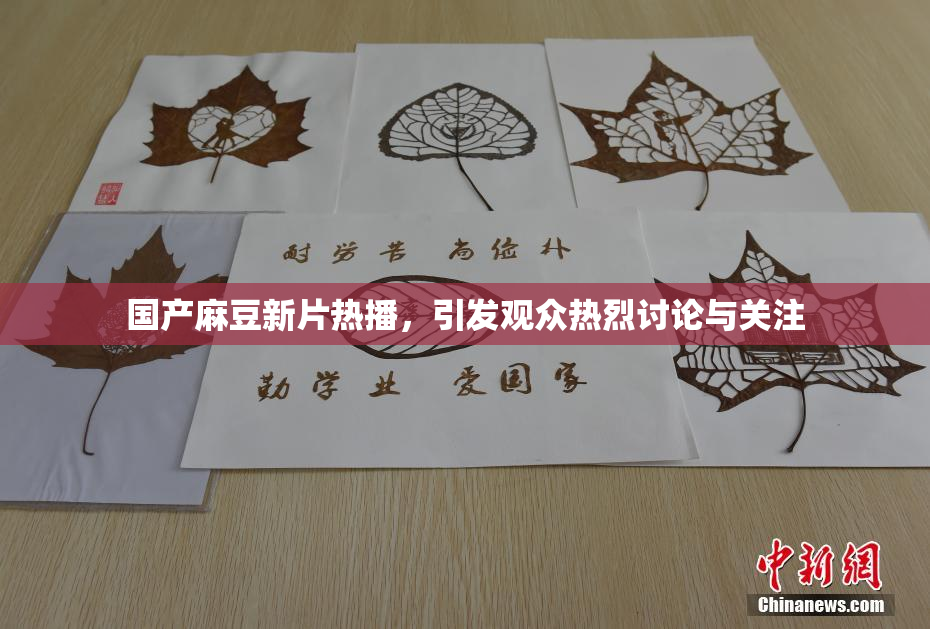 国产麻豆新片热播，引发观众热烈讨论与关注