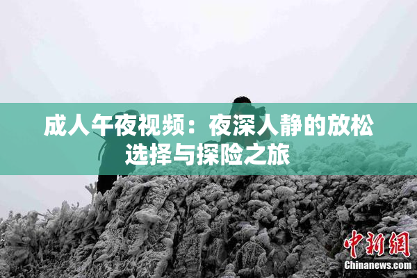 成人午夜视频：夜深人静的放松选择与探险之旅