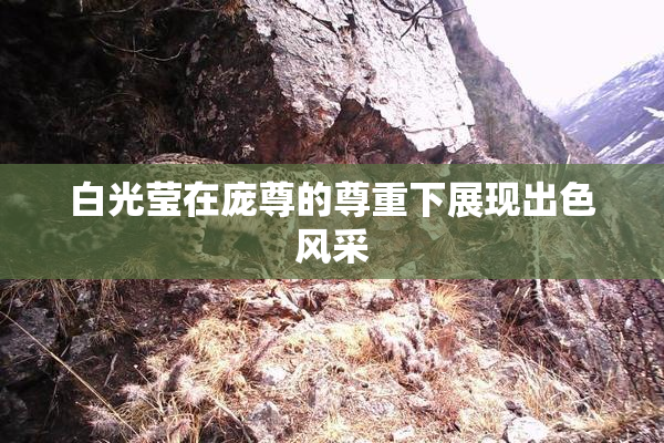 白光莹在庞尊的尊重下展现出色风采