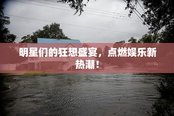 明星们的狂想盛宴，点燃娱乐新热潮！