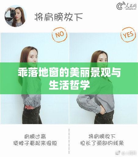 乖落地窗的美丽景观与生活哲学