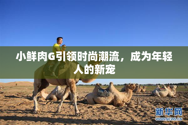 小鲜肉G引领时尚潮流，成为年轻人的新宠