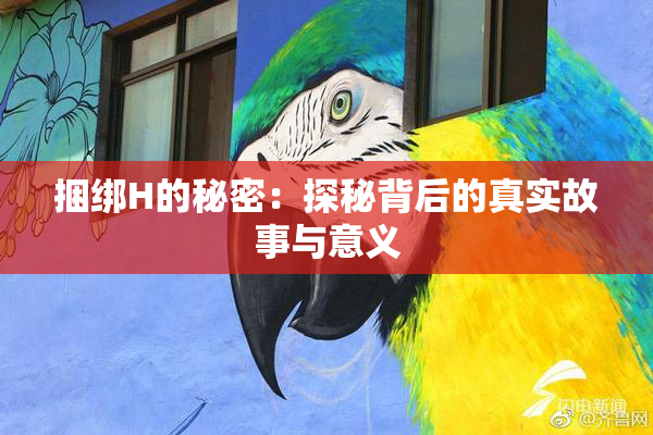 捆绑H的秘密：探秘背后的真实故事与意义