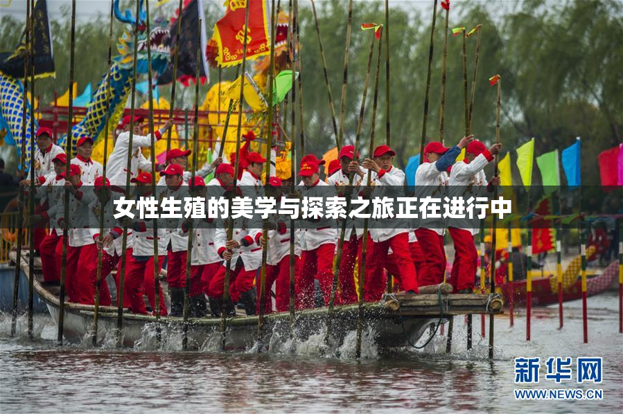 女性生殖的美学与探索之旅正在进行中