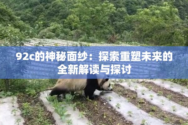 92c的神秘面纱：探索重塑未来的全新解读与探讨