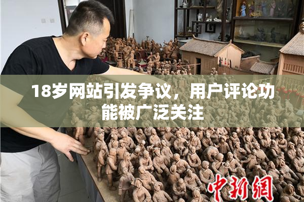 18岁网站引发争议，用户评论功能被广泛关注