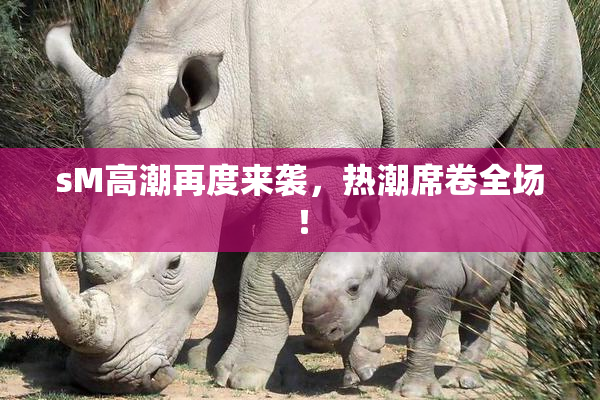 sM高潮再度来袭，热潮席卷全场！