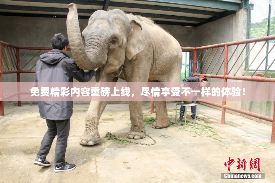 免费精彩内容重磅上线，尽情享受不一样的体验！