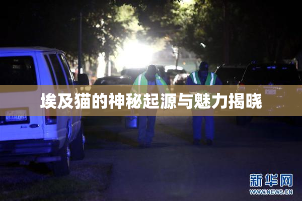 埃及猫的神秘起源与魅力揭晓
