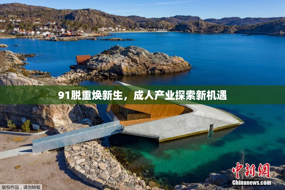 91脱重焕新生，成人产业探索新机遇