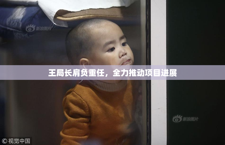 王局长肩负重任，全力推动项目进展
