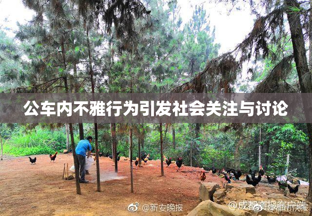 公车内不雅行为引发社会关注与讨论