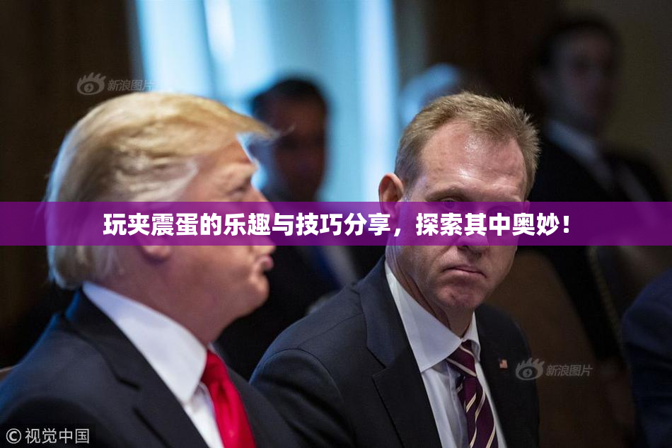玩夹震蛋的乐趣与技巧分享，探索其中奥妙！