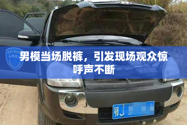 男模当场脱裤，引发现场观众惊呼声不断