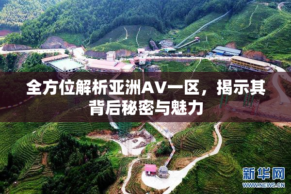 全方位解析亚洲AV一区，揭示其背后秘密与魅力
