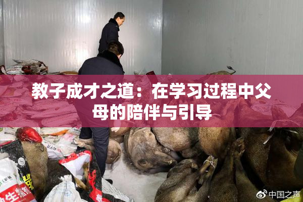 教子成才之道：在学习过程中父母的陪伴与引导