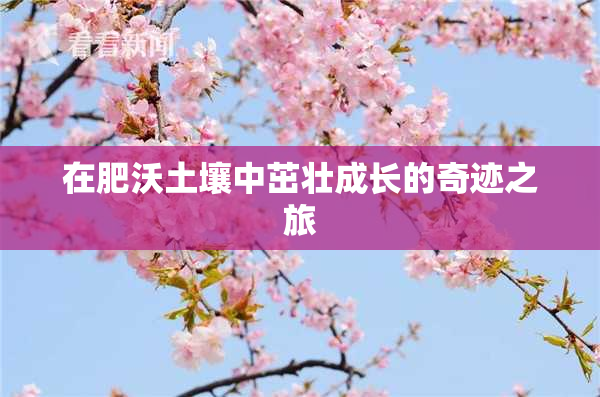 在肥沃土壤中茁壮成长的奇迹之旅