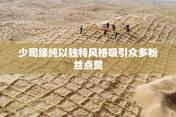 少司缘纯以独特风格吸引众多粉丝点赞