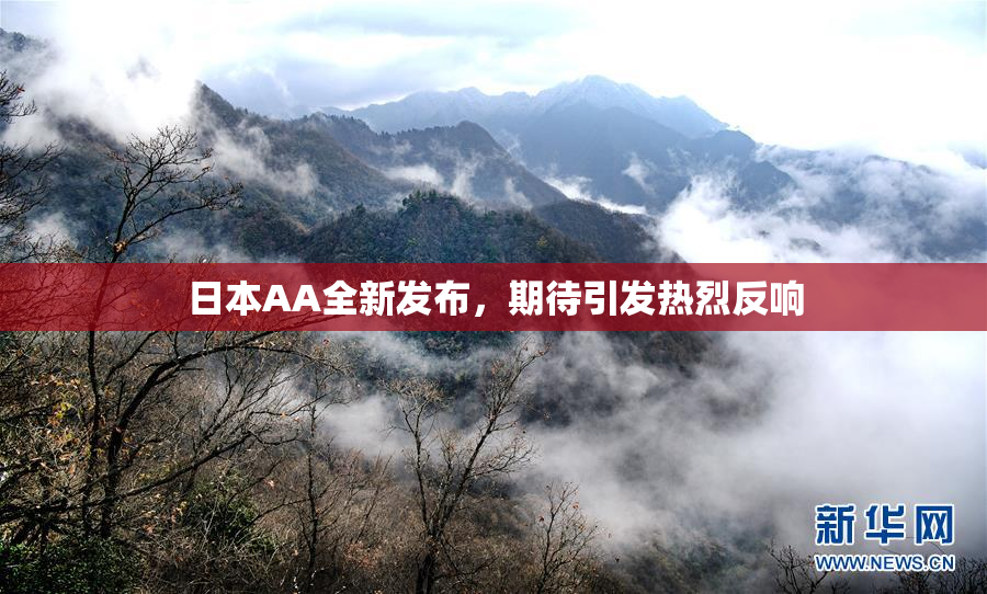 日本AA全新发布，期待引发热烈反响