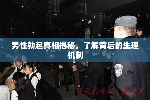 男性勃起真相揭秘，了解背后的生理机制