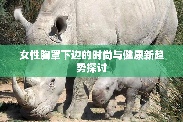 女性胸罩下边的时尚与健康新趋势探讨