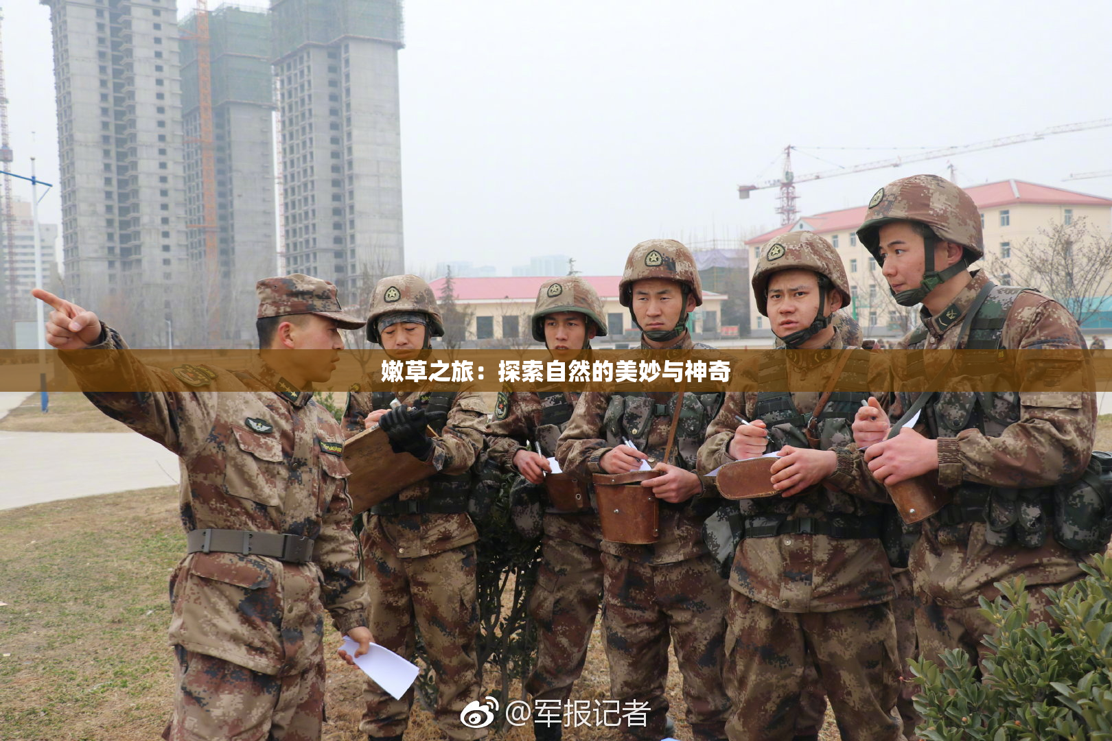 嫩草之旅：探索自然的美妙与神奇