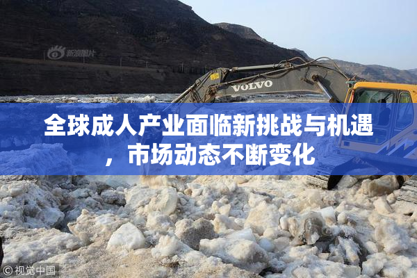 全球成人产业面临新挑战与机遇，市场动态不断变化