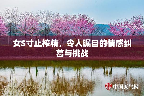 女S寸止榨精，令人瞩目的情感纠葛与挑战