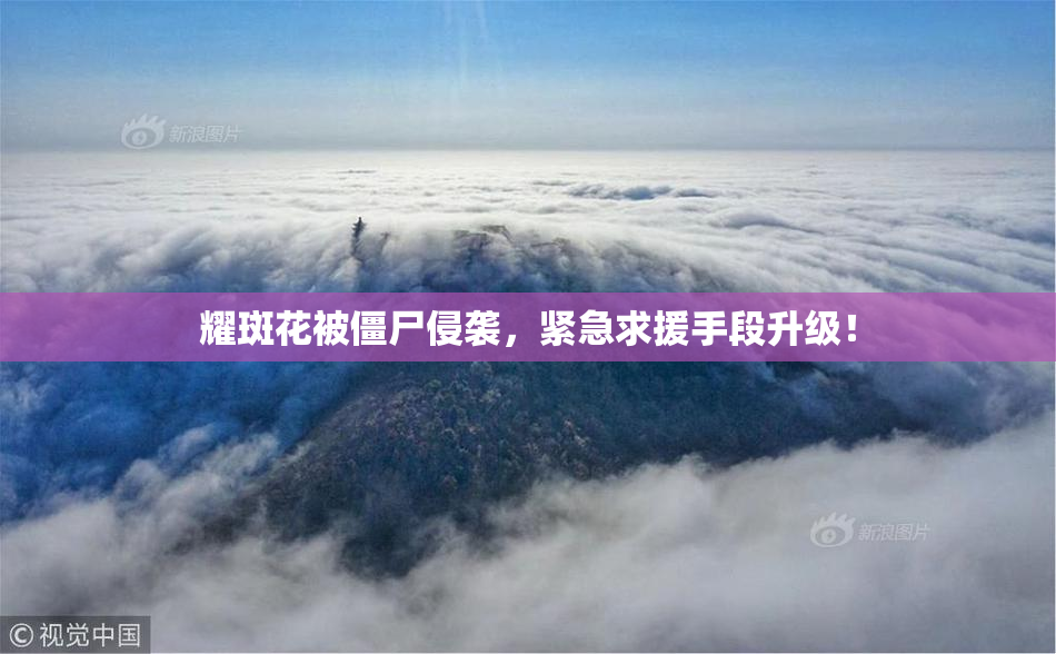 耀斑花被僵尸侵袭，紧急求援手段升级！