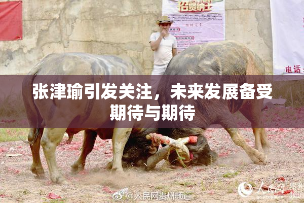 张津瑜引发关注，未来发展备受期待与期待