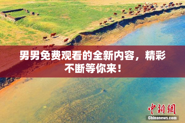 男男免费观看的全新内容，精彩不断等你来！