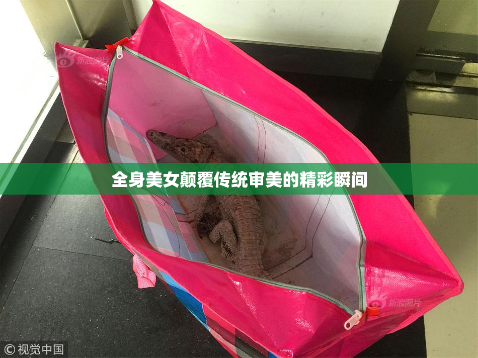 全身美女颠覆传统审美的精彩瞬间